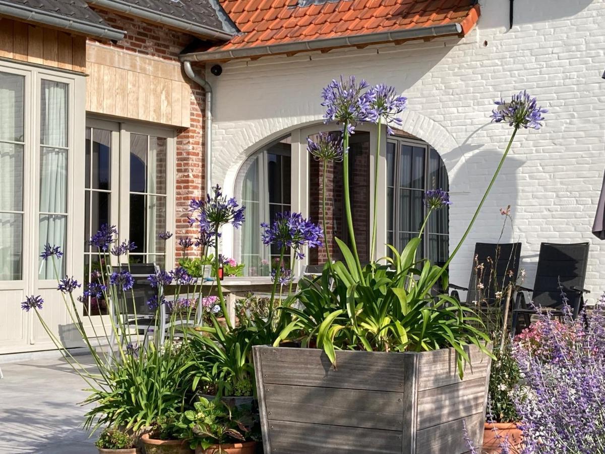 B&B Waterput 1 Stalhille Exterior photo